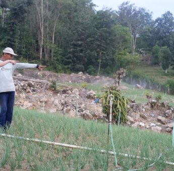 PLN Hadirkan Energi untuk Petani, Menumbuhkan Harapan dan Menguatkan Ketahanan Pangan Negeri