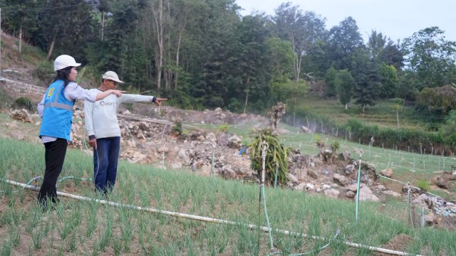 Petugas PLN dan petani saat meninjau kebun bawang di Kabupaten Enrekang. (Foto: Istimewa)