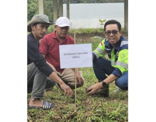 FORDES, MDA, dan Pemerintah Desa Sampeang Bersatu Hijaukan Lingkungan di Hari Lingkungan Hidup