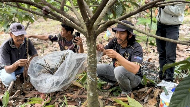 Ket: Pelatihan Warga Tingkatkan Produktivitas Kakao