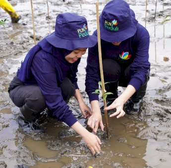 Dari Lahan Terdegradasi, PLN UIP Sulawesi Ciptakan Benteng Hijau Bagi Warga Pesisir Jeneponto