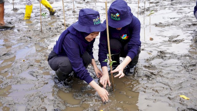 PLN UIP Sulawesi melakukan penanaman magrove di pesisir Kelurahan Tonrokassi Timur, Kecamatan Tamalatea, Kabupaten Jeneponto. (Dok. Humas PLN UIP Sulawesi) 