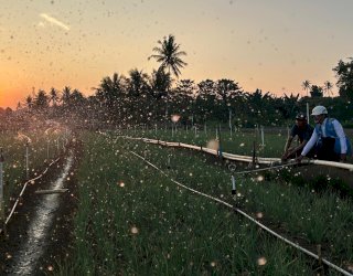Tarif Listrik Triwulan III 2026 Tetap, PLN Siap Jalankan Kebijakan Pemerintah dan Jaga Kualitas Layanan ke Masyarakat