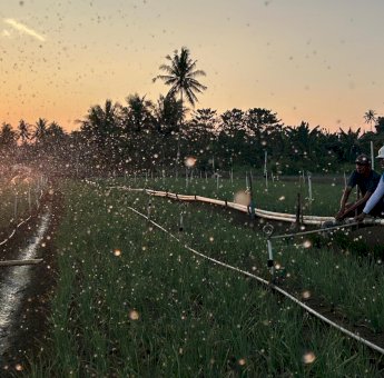 Tarif Listrik Triwulan III 2026 Tetap, PLN Siap Jalankan Kebijakan Pemerintah dan Jaga Kualitas Layanan ke Masyarakat