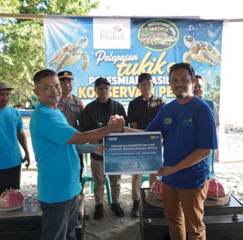 PLN Beri Bantuan Konservasi dan Edukasi Penangkaran Penyu di Pantai Lentora Donggala