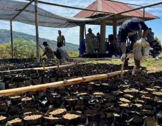 Menanam Kembali Harapan dari Kebun Kopi Ulusalu