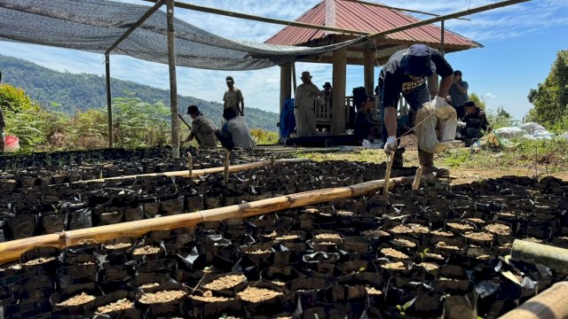 Ket: Kebun Kopi Ulusalu