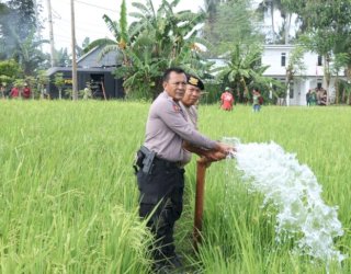 Saat Water Canon Turun ke Sawah, Polres Bulukumba Bantu Petani Hadapi Krisis Air