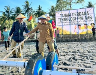Tanam Perdana PM AAS Digelar di Galung Maloang, Wali Kota Parepare Tasming Hamid Dorong Pertanian Modern