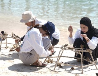 Jaga Ekosistem Laut, PLN UIP Sulawesi Adopsi 81 Fragmen Karang di Pulau Samalona