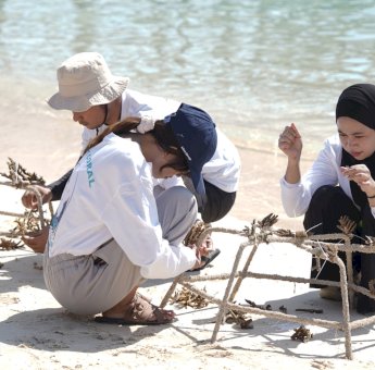 Jaga Ekosistem Laut, PLN UIP Sulawesi Adopsi 81 Fragmen Karang di Pulau Samalona