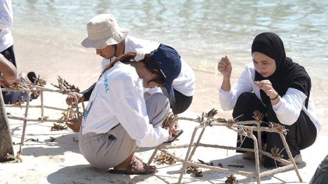 PLN UIP Sulawesi bersama sejumlah pihak terkait melakukan Adopsi Karang Pulau Samalona yang menjadi rangkaian dalam peringatan HUT RI Ke-81. (Dok. Humas PLN UIP Sulawesi) 