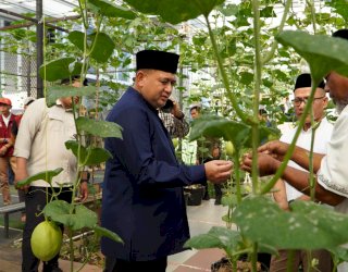 Bukit Baruga Kembangkan Urban Farming Terintegrasi sebagai Percontohan di Makassar