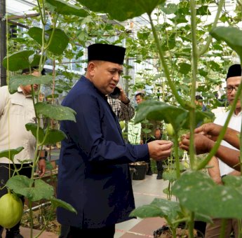 Bukit Baruga Kembangkan Urban Farming Terintegrasi sebagai Percontohan di Makassar
