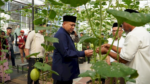 Wali Kota Makassar, Munafri Arifuddin saat melihat langsung hasil panen Melon di kawasan urban farming Bukit Baruga, pada Jumat, (04/09/2026). (Dok. Bukit Baruga Makassar) 