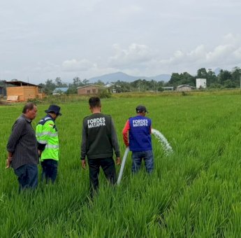 Kekeringan Ancam Sawah di Luwu, MDA Bersama Pemkab dan FORDES MATAPPA Salurkan Bantuan Air