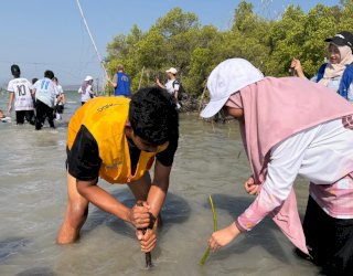 133 Siswa SMP Islam Athirah Makassar Diajak Jaga Lingkungan Dengan Tanam Mangrove