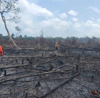 Karhutla Lingga Capai 400 Hektare, Api Masih Berkobar di Desa Kudung