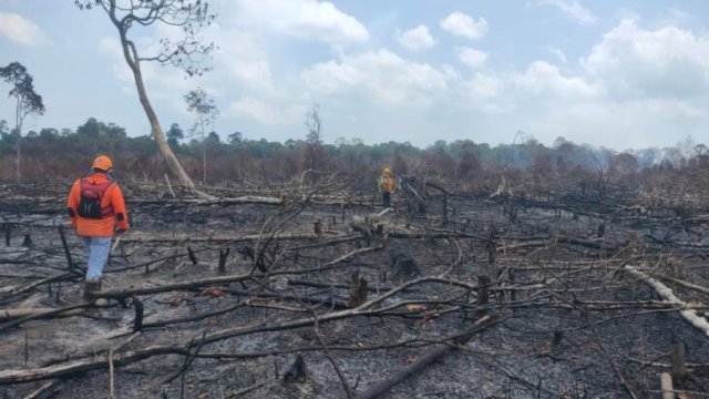 Kondisi terkini hutan di Kecamatan Lingga Timur, Kabupaten Lingga yang hangus dilahap api saat petugas masih melakukan proses pemadaman. [DOK BNPB Kabupaten Lingga]