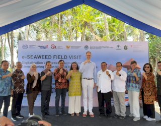 OJK Sulselbar Dukung Implementasi e-Seaweed, Bentuk Penguatan Inklusi Keuangan