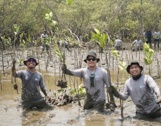 Kalla Toyota Dorong Pelestarian Ekosistem Pesisir Dengan Tanam 43 Ribu Mangrove