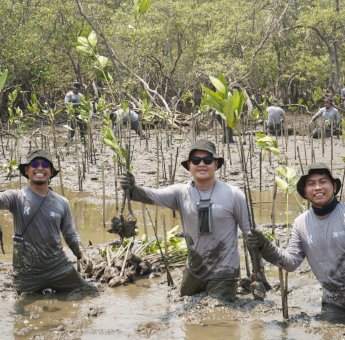 Kalla Toyota Dorong Pelestarian Ekosistem Pesisir Dengan Tanam 43 Ribu Mangrove