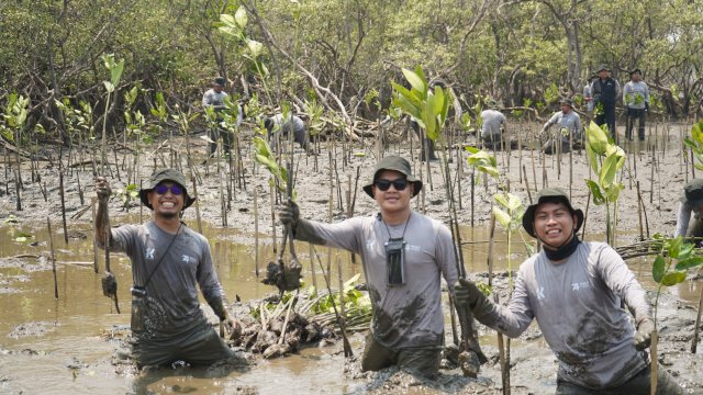Jajaran Kalla Toyota saat melakukan penanaman pohon mangrove di Kelurahan Tekolabbua, Kecamatan Pangkajene, Kabupaten Pangkep, Sabtu (03/10/2026). (Dok. Kalla Toyota)