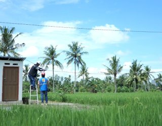 Sambut Hari Listrik Nasional ke-81, PLN UID Sulselrabar Dorong Pertanian Produktif dan Efisien melalui Electrifying Agriculture